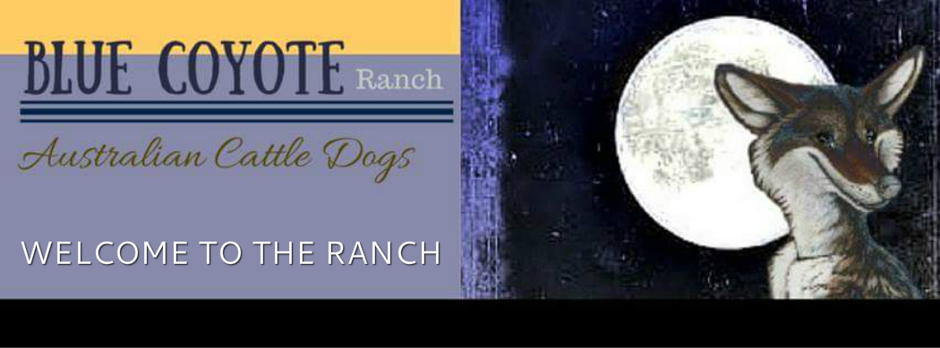 WELCOME TO BLUE COYOTE RANCH ACDS
